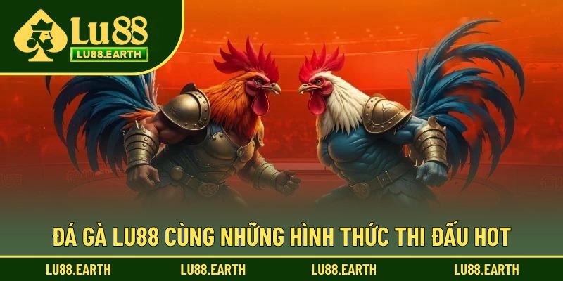 Các hình thức thi đấu đá gà Lu88 hot nhất