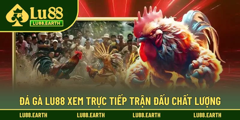 Theo dõi đá gà Lu88 trực tiếp hàng đầu