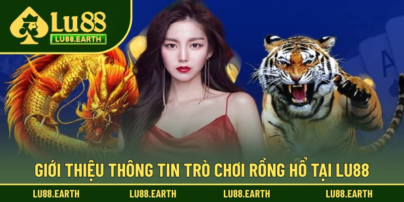Giới thiệu thông tin chơi Rồng hổ ấn tượng