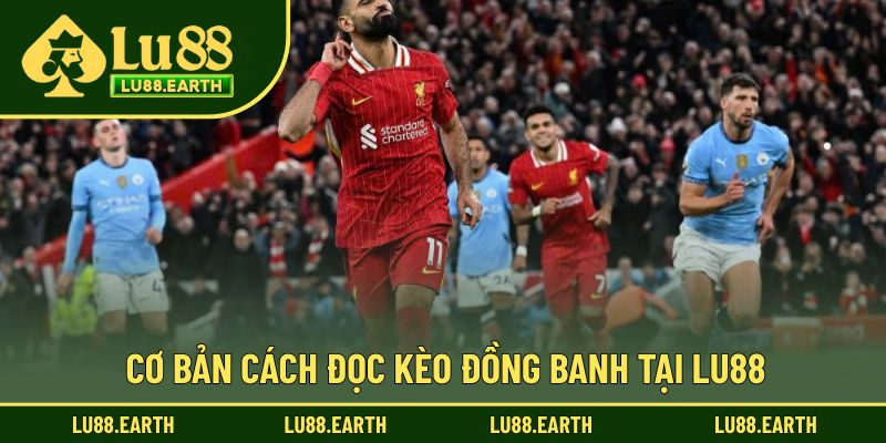 Cơ bản cách soi cược đồng banh tại Lu88