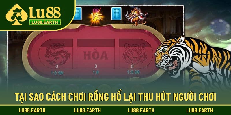 Tại sao cách chơi rồng hổ lại được đánh giá cao?