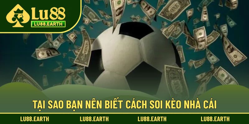 Tại sao nên thực hiện soi kèo nhà cái?