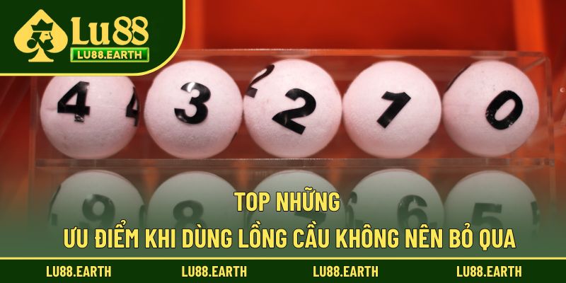 Top những ưu điểm khi dùng lồng cầu không nên bỏ qua